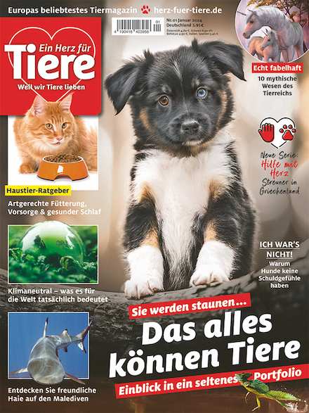 Cover für Ein Herz für Tiere