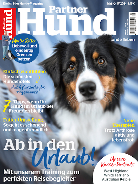 Cover für Partner Hund